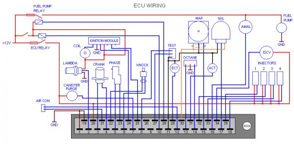 What is an ECU